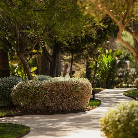 ホテル Secrets Mallorca Villamil & - Adults Only